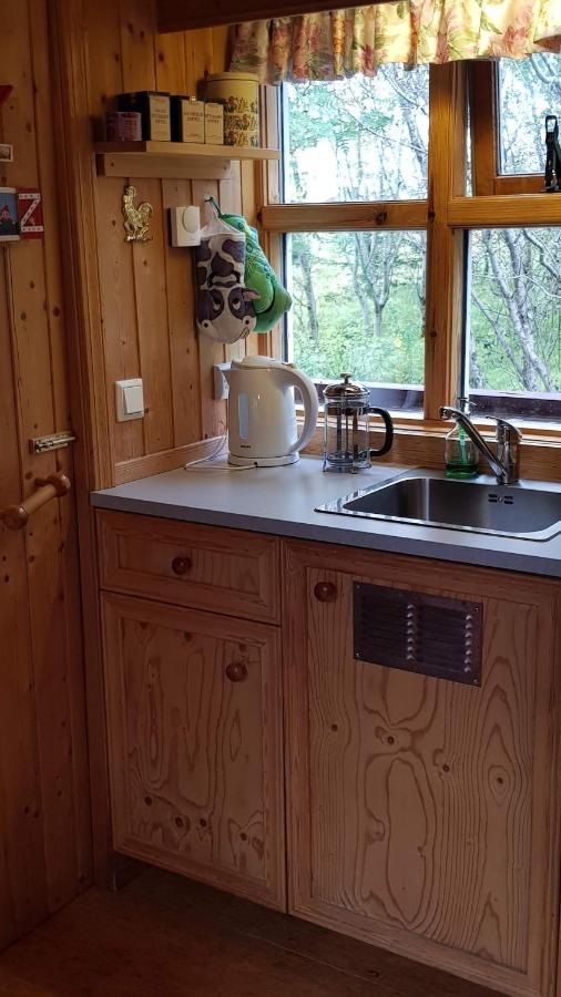 Cozy Cabin In The Woods セルフォス エクステリア 写真